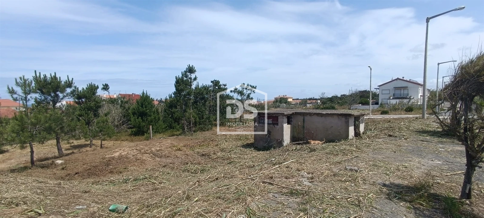 Terreno para Venda em Coimbrão Foto 3