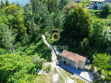 Terreno Agricola ou Rústico para Arrendamento em Santiago de Piães