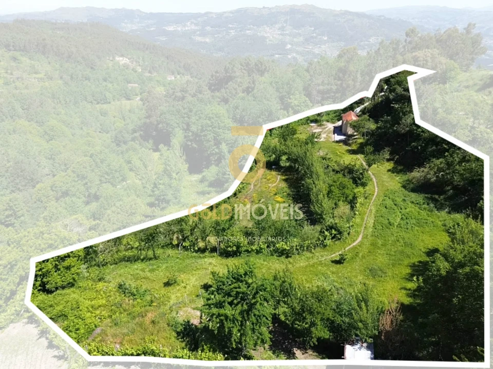Terreno Agricola ou Rústico para Arrendamento em Santiago de Piães Foto 2