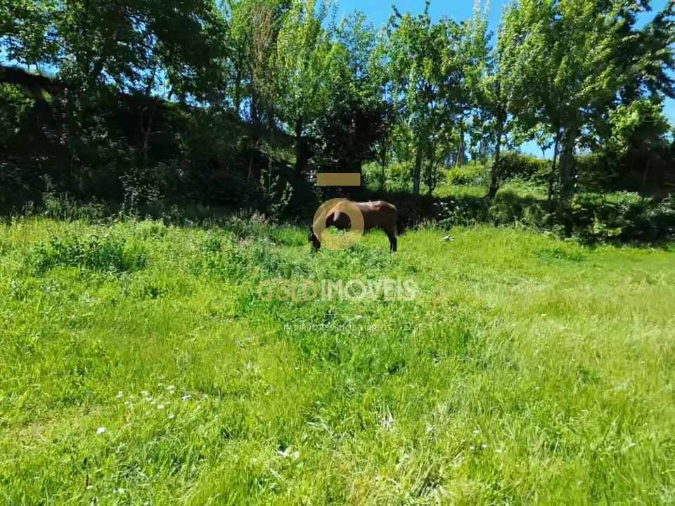 Terreno Agricola ou Rústico para Arrendamento em Santiago de Piães Foto 9