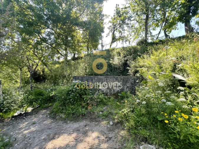 Terreno Agricola ou Rústico para Arrendamento em Santiago de Piães Foto 16