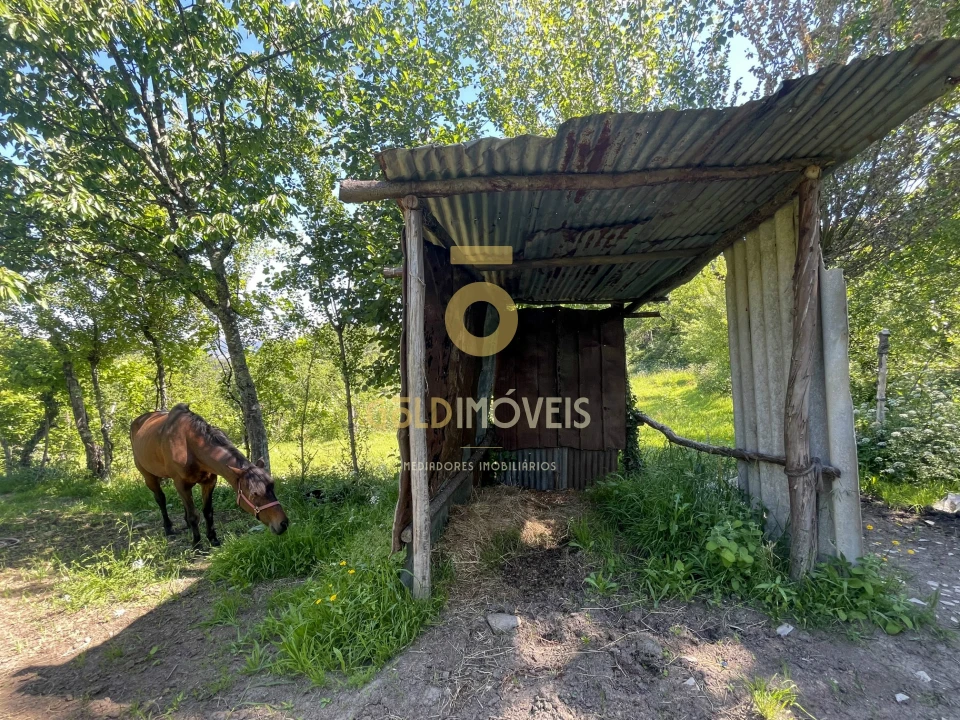 Terreno Agricola ou Rústico para Arrendamento em Santiago de Piães Foto 17