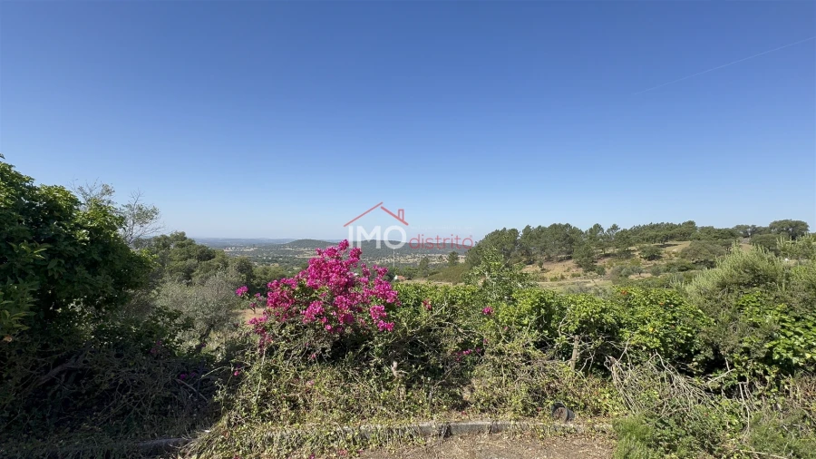 Terreno Agricola ou Rústico para Venda em Fortios Foto 13