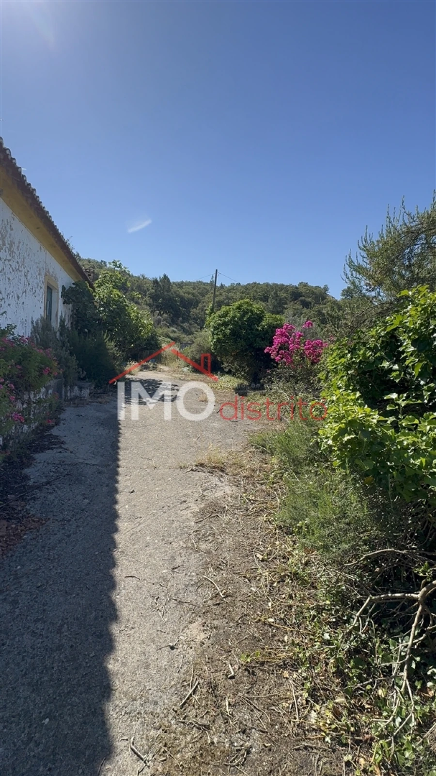 Terreno Agricola ou Rústico para Venda em Fortios Foto 3