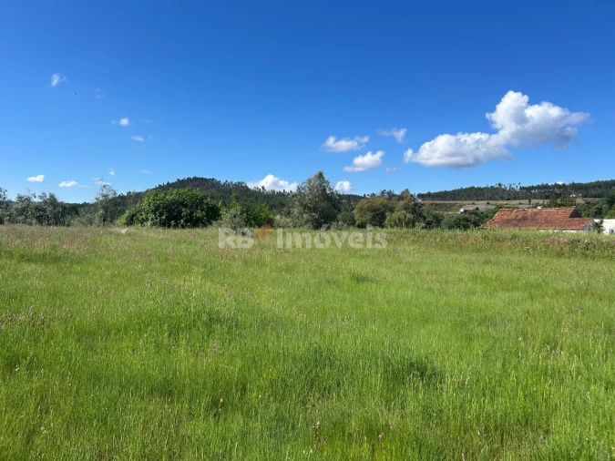 Terreno para Venda em Areias e Pias Foto 9
