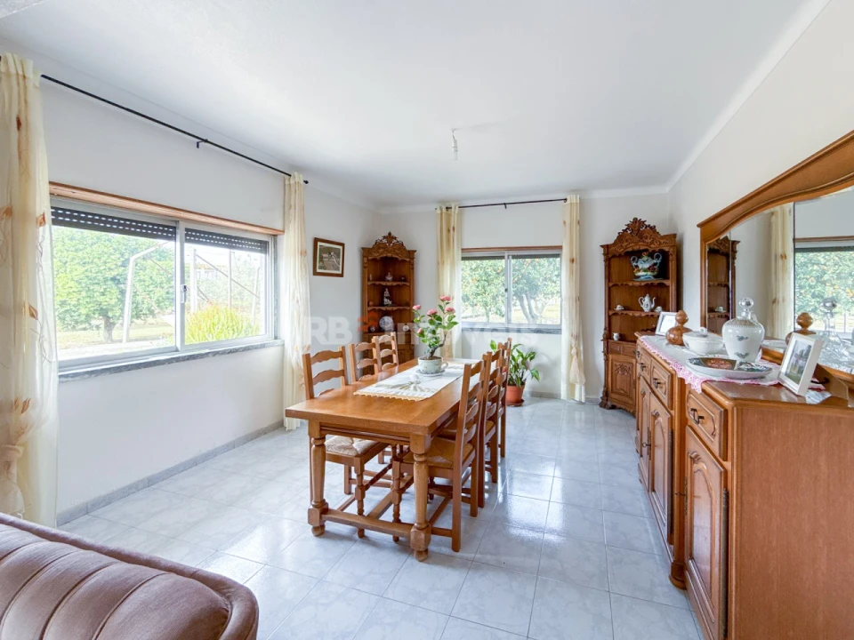Quinta T6 para Venda em Golegã Foto 19