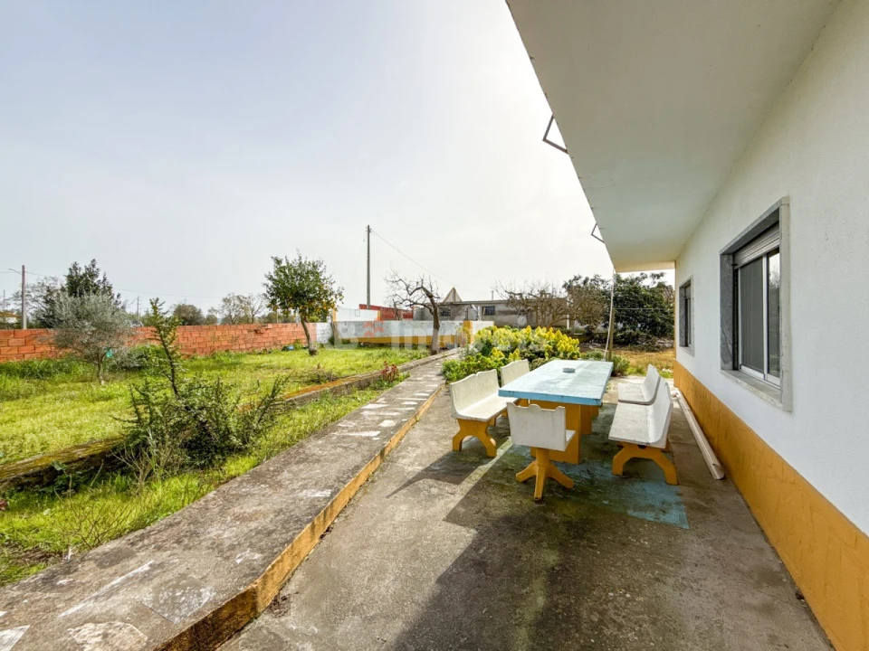 Quinta T6 para Venda em Golegã Foto 34