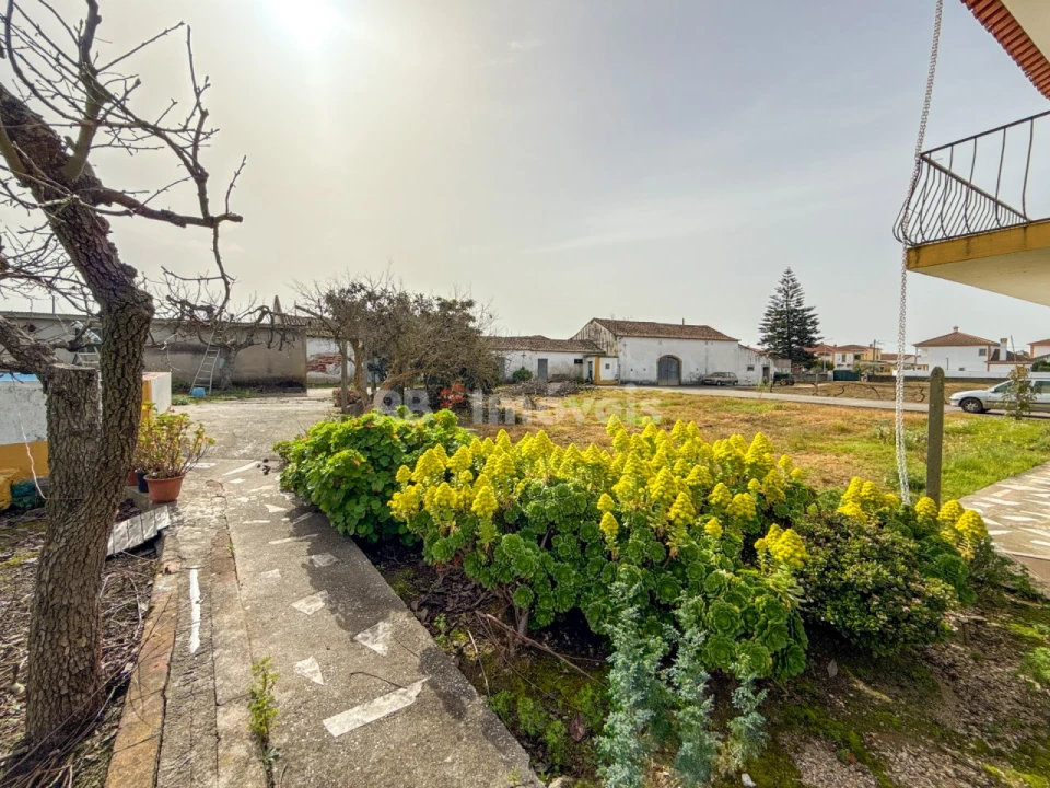 Quinta T6 para Venda em Golegã Foto 35
