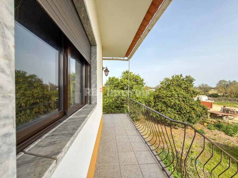 Quinta T6 para Venda em Golegã Foto 42