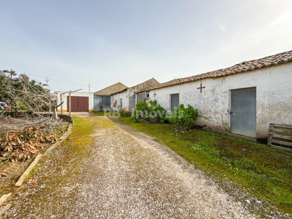 Quinta T6 para Venda em Golegã Foto 83