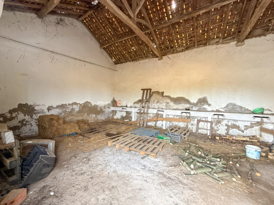 Quinta T6 para Venda em Golegã Foto 85