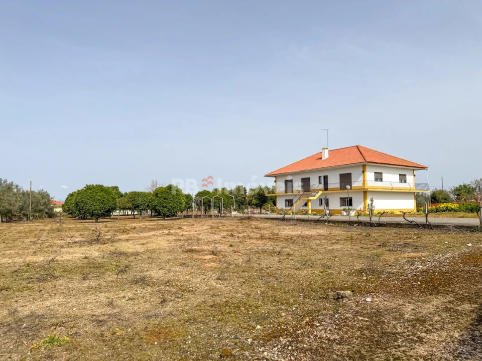 Quinta T6 para Venda em Golegã Foto 1