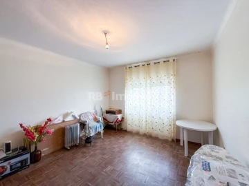 Quinta T6 para Venda em Golegã