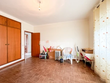 Quinta T6 para Venda em Golegã