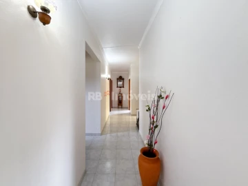 Quinta T6 para Venda em Golegã