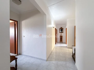 Quinta T6 para Venda em Golegã