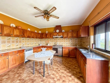 Quinta T6 para Venda em Golegã