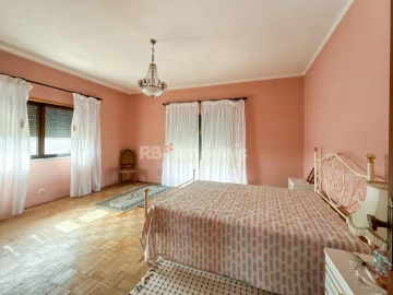 Quinta T6 para Venda em Golegã