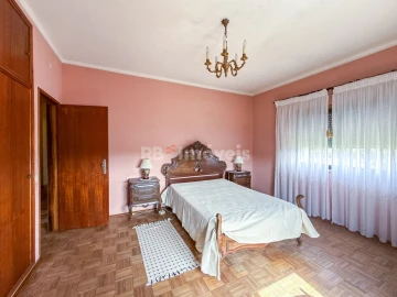 Quinta T6 para Venda em Golegã