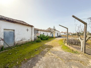 Quinta T6 para Venda em Golegã