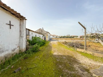 Quinta T6 para Venda em Golegã