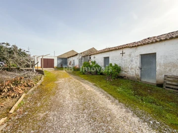 Quinta T6 para Venda em Golegã