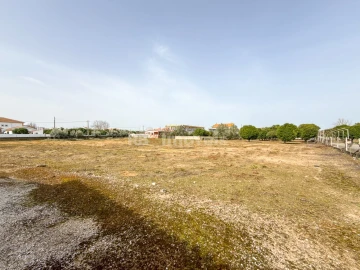 Quinta T6 para Venda em Golegã