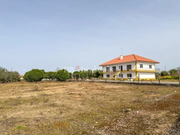 Quinta T6 para Venda em Golegã