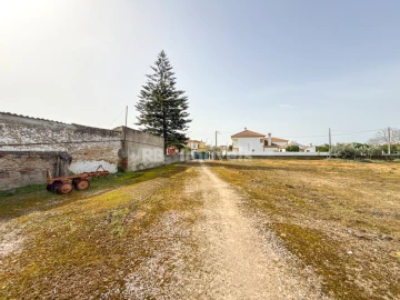 Quinta T6 para Venda em Golegã