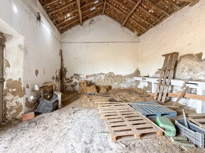 Quinta T6 para Venda em Golegã Foto 87