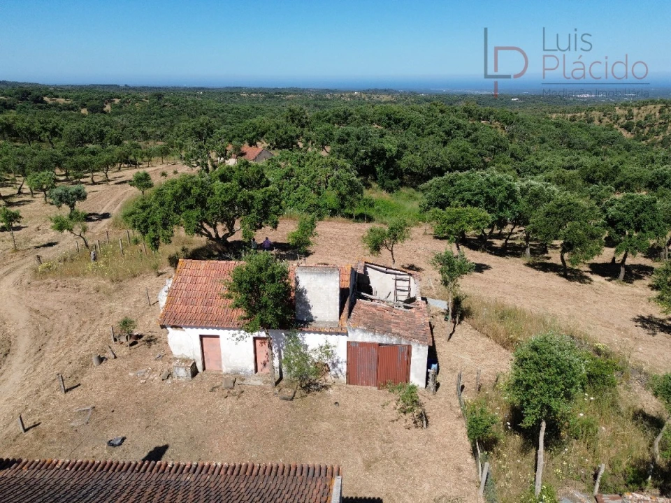 Quinta T2 para Venda em Melides Foto 9