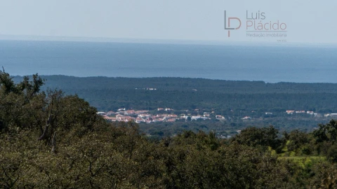 Quinta T2 para Venda em Melides