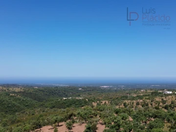 Quinta T2 para Venda em Melides