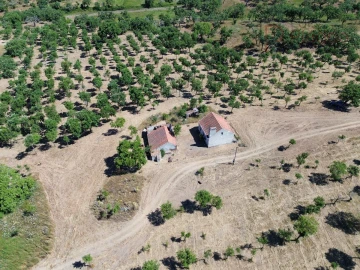 Quinta T2 para Venda em Melides