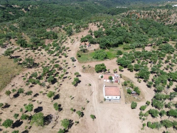 Quinta T2 para Venda em Melides