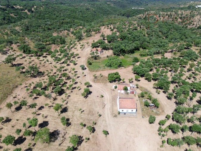 Quinta T2 para Venda em Melides Foto 24