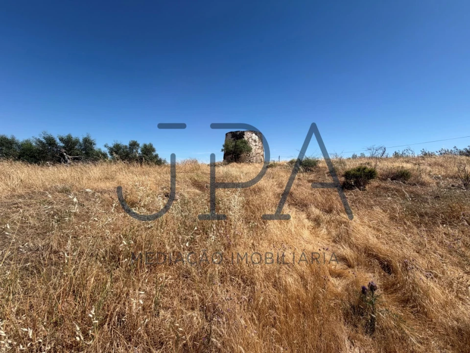 Terreno Agricola ou Rústico para Venda em Azinhal Foto 5