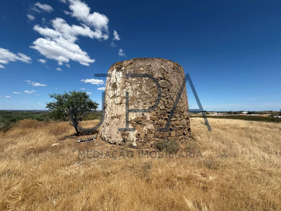 Terreno Agricola ou Rústico para Venda em Azinhal Foto 2