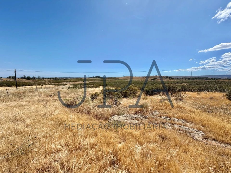 Terreno Agricola ou Rústico para Venda em Azinhal Foto 9