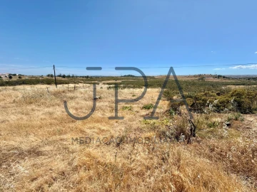 Terreno Agricola ou Rústico para Venda em Azinhal