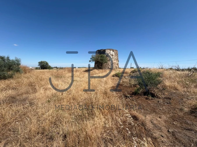 Terreno Agricola ou Rústico para Venda em Azinhal Foto 4