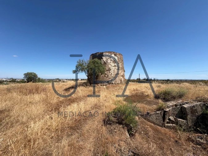Terreno Agricola ou Rústico para Venda em Azinhal Foto 6