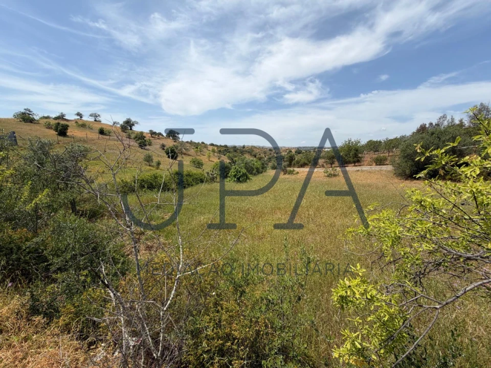 Terreno Agricola ou Rústico para Venda em Castro Marim Foto 11