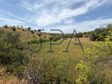 Terreno Agricola ou Rústico para Venda em Castro Marim