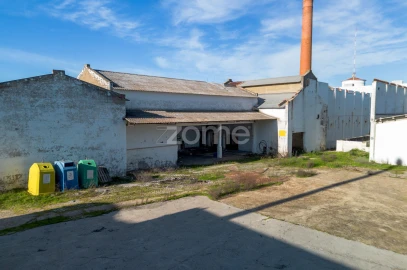 Terreno Comércio / Armazém para Venda em Santo Agostinho e São João Baptista e Santo Amador