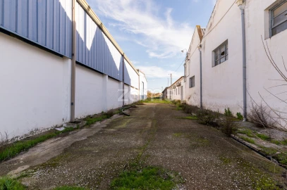 Terreno Comércio / Armazém para Venda em Santo Agostinho e São João Baptista e Santo Amador