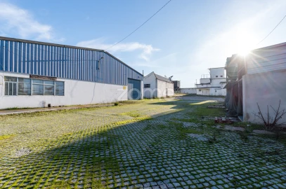 Terreno Comércio / Armazém para Venda em Santo Agostinho e São João Baptista e Santo Amador