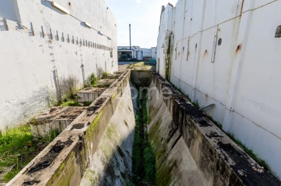 Terreno Comércio / Armazém para Venda em Santo Agostinho e São João Baptista e Santo Amador