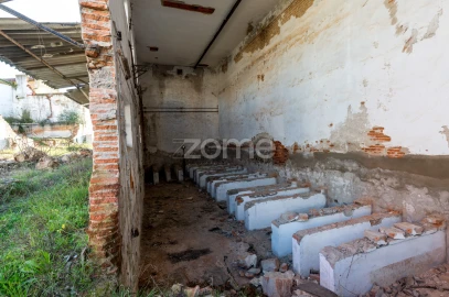 Terreno Comércio / Armazém para Venda em Santo Agostinho e São João Baptista e Santo Amador