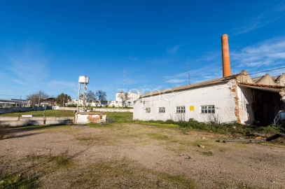 Terreno Comércio / Armazém para Venda em Santo Agostinho e São João Baptista e Santo Amador